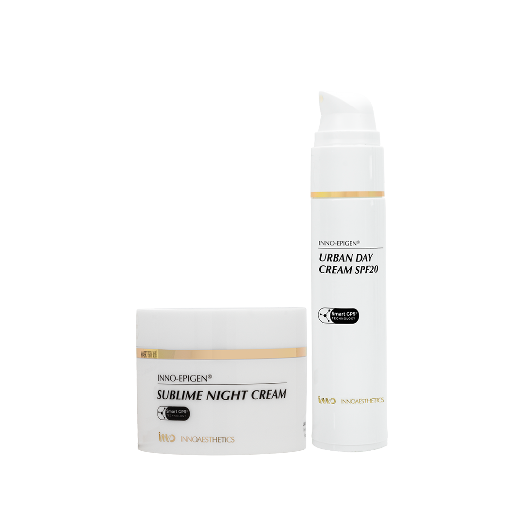 Day–Night Refinement